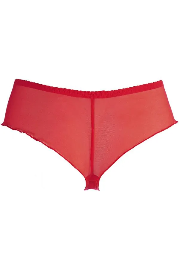 Axami 10545 Sheer Embroidery Brazilian Thong Red Just Like Heaven